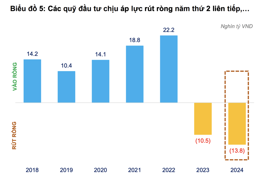 Bị rút ròng kỷ lục trong năm 2024, nhiều quỹ cổ phiếu hiệu suất vẫn tăng gấp đôi, gấp ba VN-Index  - Ảnh 2