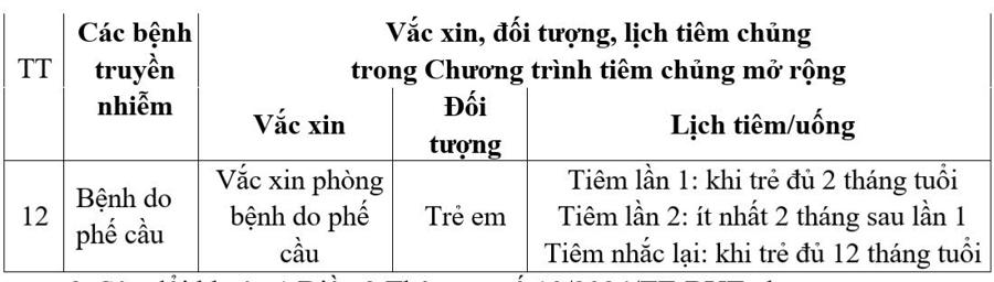 Đề xuất đưa vaccine phòng bệnh do phế cầu vào chương trình tiêm chủng mở rộng - Ảnh 1