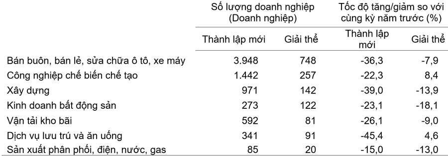 . Doanh nghiệp th&agrave;nh lập mới v&agrave; giải thể th&aacute;ng 01/2025 ph&acirc;n theo một số lĩnh vực hoạt động.