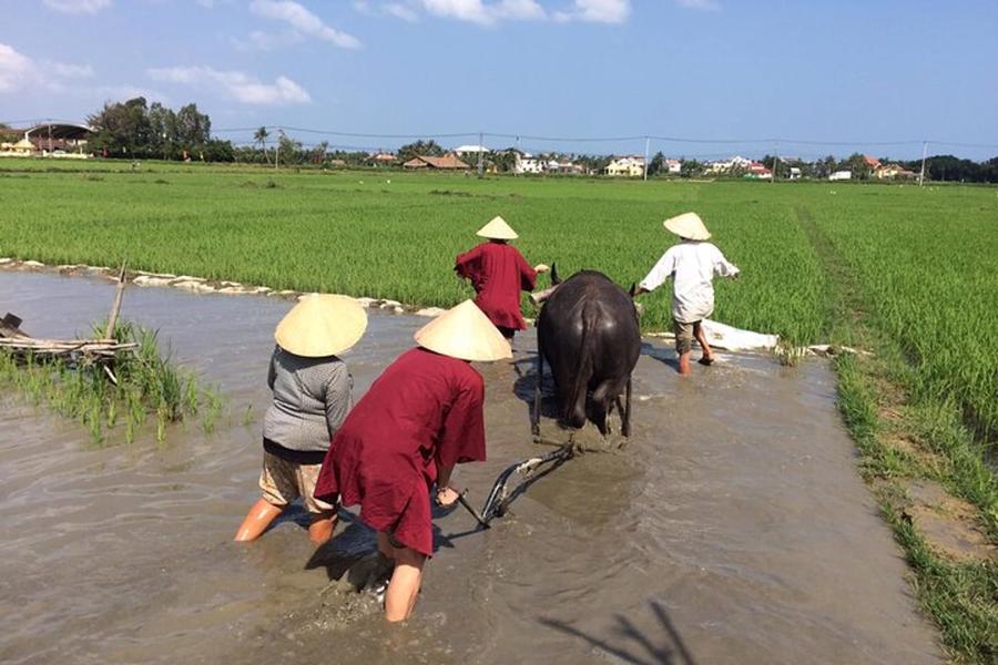 Hướng đi nào cho du lịch canh nông? - Ảnh 3