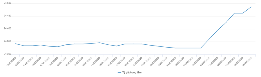 Diễn biến tỷ gi&aacute; trung t&acirc;m từ đầu năm đến nay (VnEconomy tổng hợp từ NHNN)