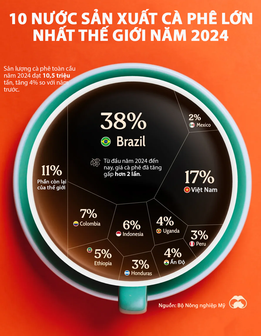 10 nước sản xuất cà phê lớn nhất thế giới, Việt Nam đứng thứ hai - Ảnh 1