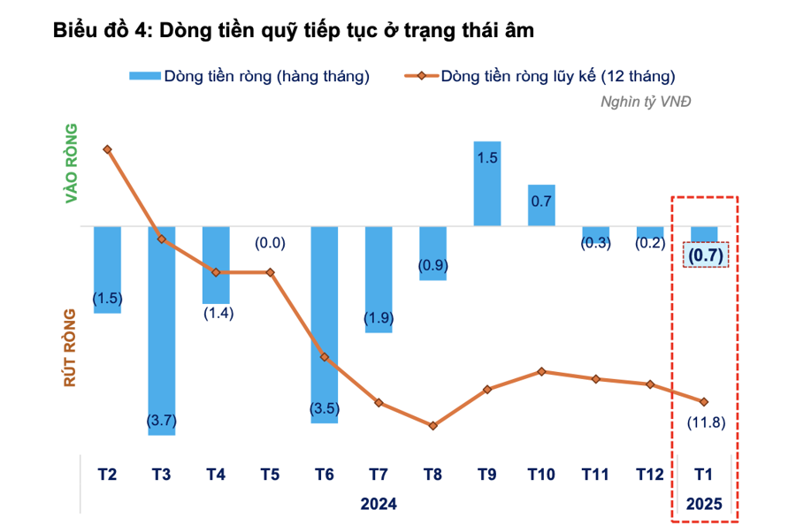 Hiệu suất giảm, các quỹ cổ phiếu tiếp tục bị rút ròng - Ảnh 2