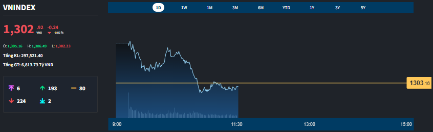 VN-Index cầm cự trên mốc 1300 điểm, thanh khoản sụt giảm đột biến - Ảnh 1