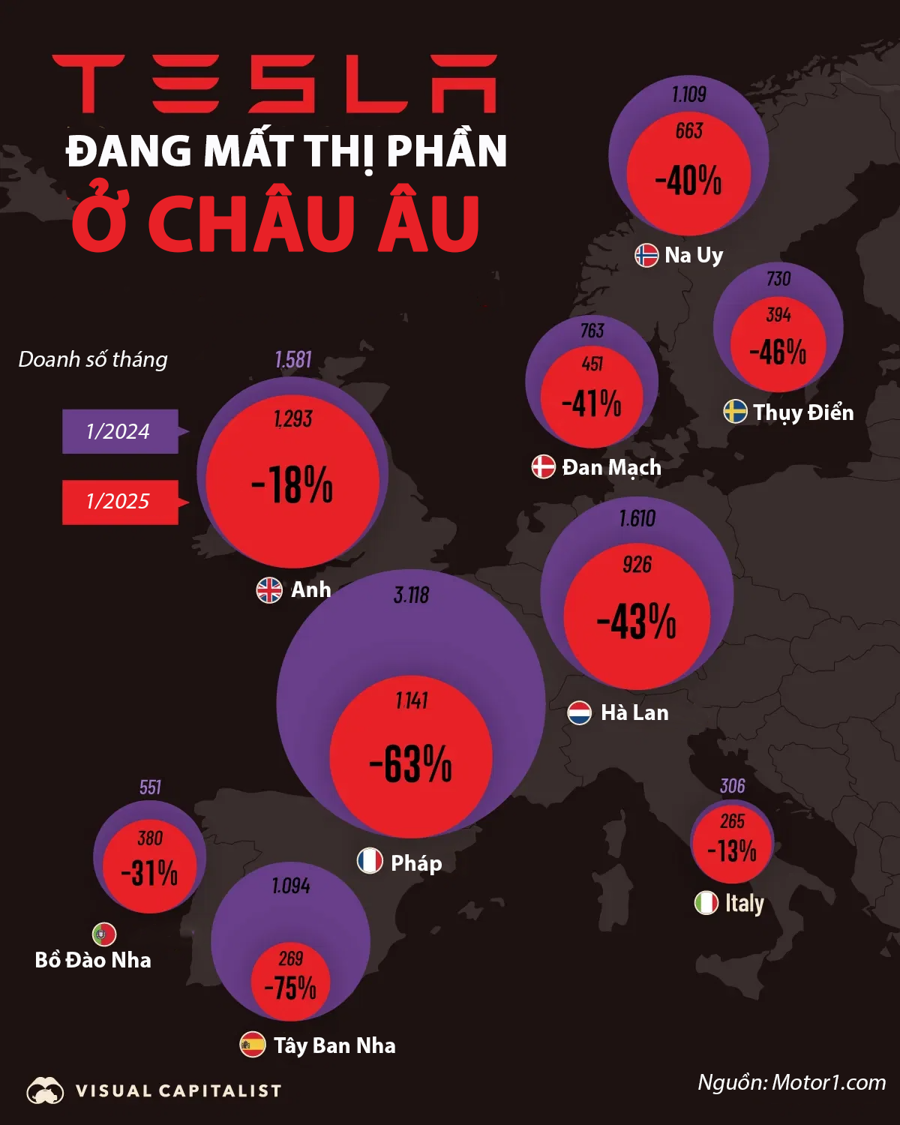 Tesla mất một nửa thị phần ở châu Âu chỉ trong một năm - Ảnh 1