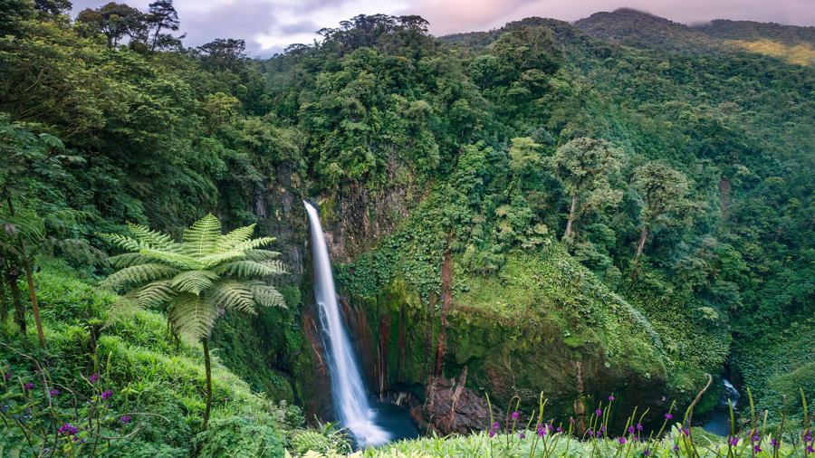 Costa Rica l&agrave; quốc gia nhiệt đới duy nhất tr&ecirc;n thế giới đ&atilde; th&agrave;nh c&ocirc;ng trong việc đảo ngược nạn ph&aacute; rừng.