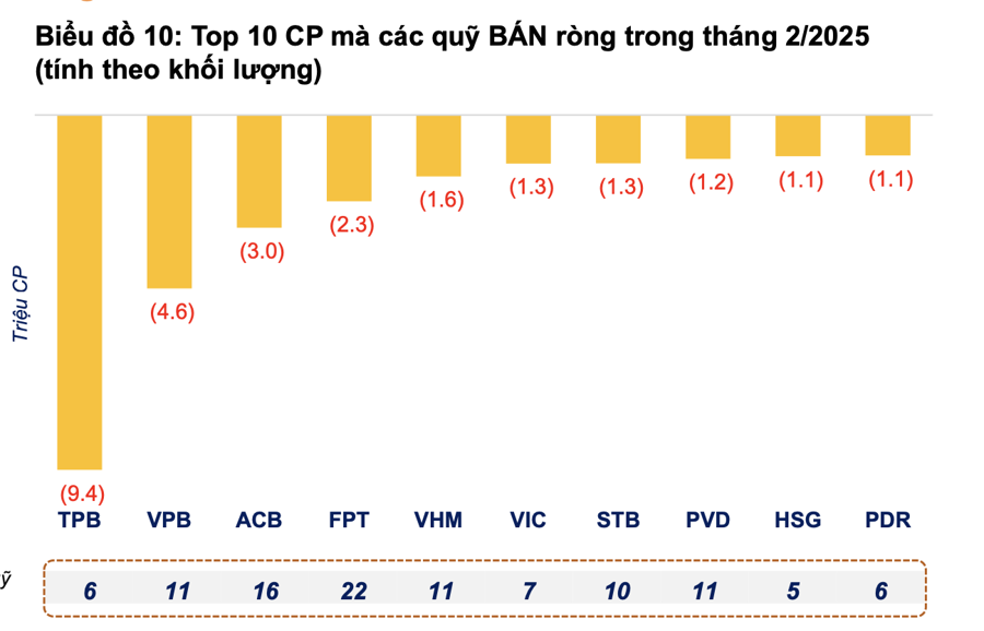 Cổ phiếu nào được các quỹ mua ròng nhiều nhất trong tháng 2 vừa qua?  - Ảnh 1