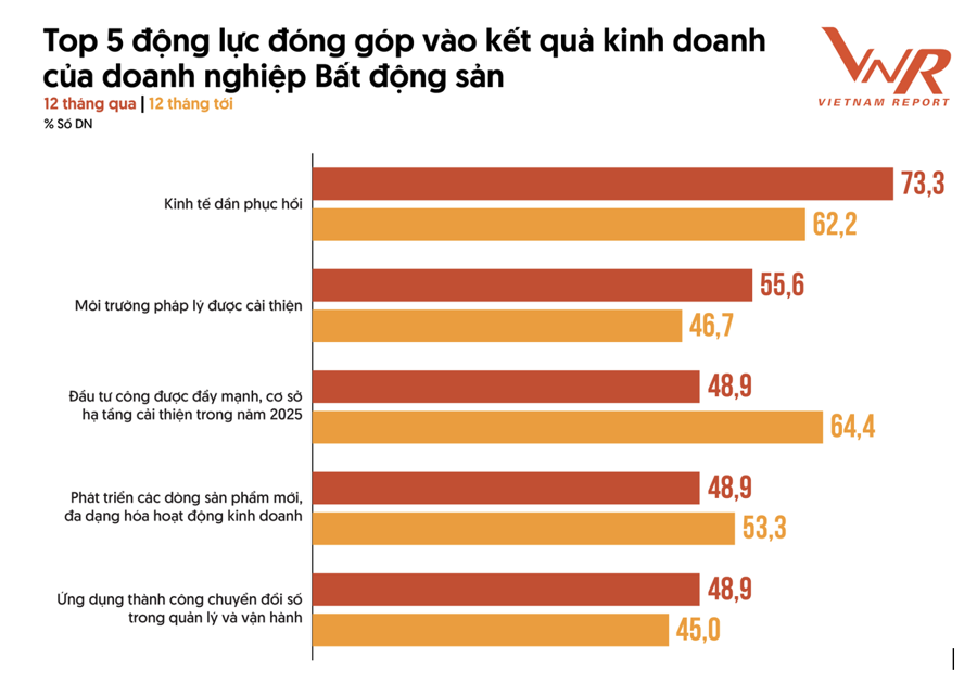 Năm động lực thúc đẩy thị trường bất động sản 2025 - Ảnh 1