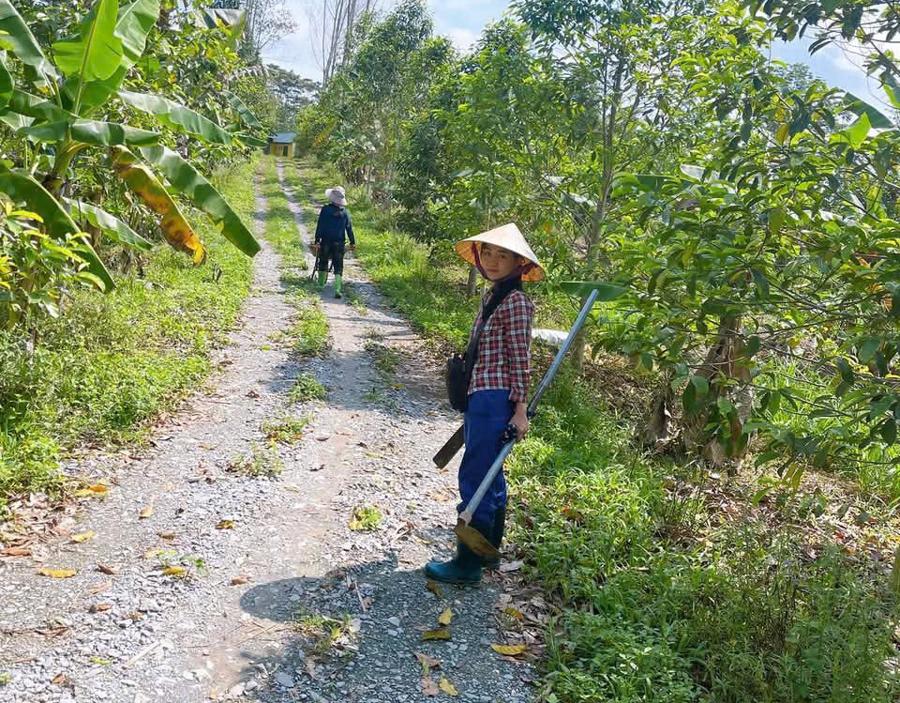 Cô gái bản Thổ bỏ phố về rừng phủ xanh đồi trọc, phát triển nông nghiệp sạch - Ảnh 1