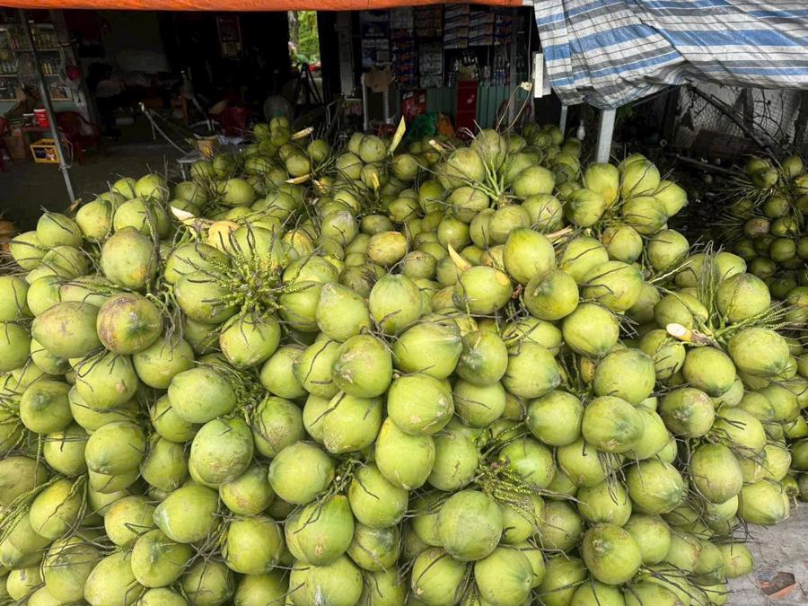 Sức mua tăng với những mặt hàng giải nhiệt - Ảnh 1