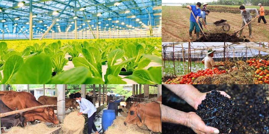 Thúc đẩy nghiên cứu, ứng dụng thử nghiệm và nhân rộng các mô hình kinh tế tuần hoàn trong các ngành, lĩnh vực.