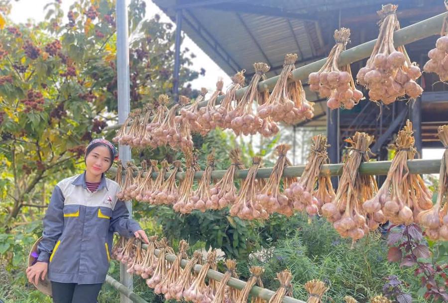 Cô gái bản Thổ bỏ phố về rừng phủ xanh đồi trọc, phát triển nông nghiệp sạch - Ảnh 5