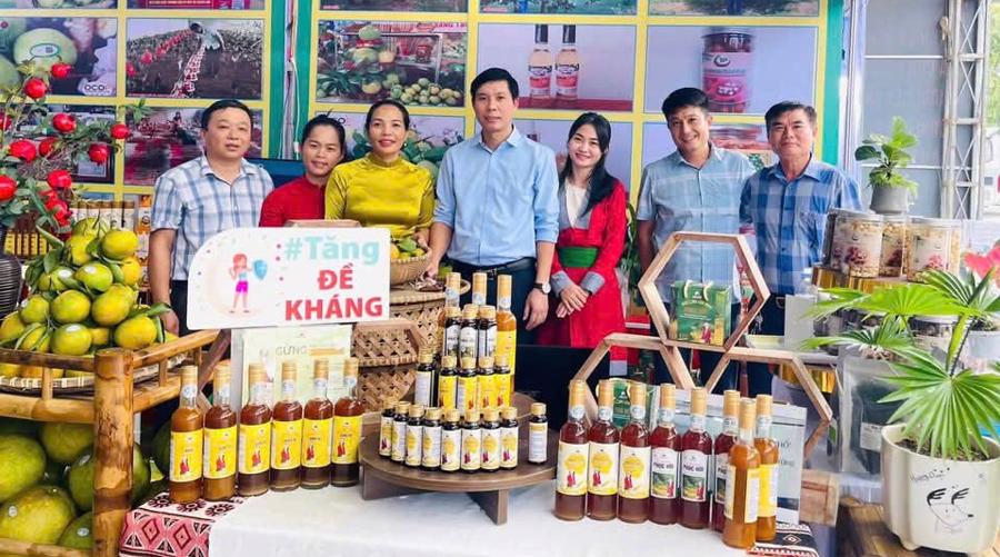 Cô gái bản Thổ bỏ phố về rừng phủ xanh đồi trọc, phát triển nông nghiệp sạch - Ảnh 10