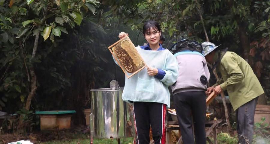 Cô gái bản Thổ bỏ phố về rừng phủ xanh đồi trọc, phát triển nông nghiệp sạch - Ảnh 11
