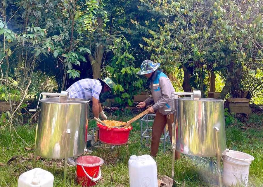 Cô gái bản Thổ bỏ phố về rừng phủ xanh đồi trọc, phát triển nông nghiệp sạch - Ảnh 12