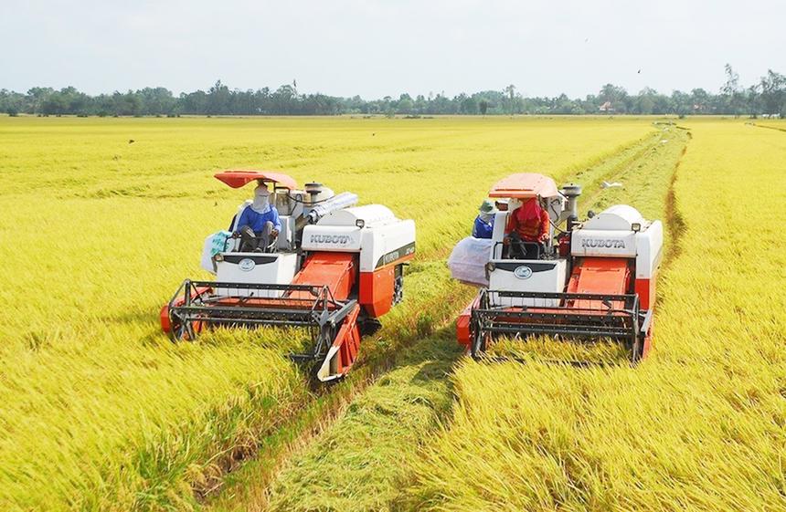 Trình Quốc hội xem xét kéo dài thời hạn miễn thuế sử dụng đất nông nghiệp đến hết năm 2030 - Ảnh 1