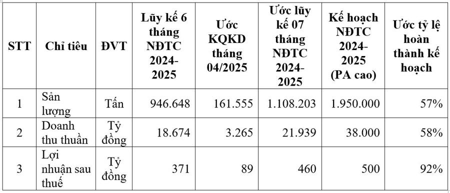 HSG: Lợi nhuận sau thuế uớc lũy kế 7 tháng niên độ tài chính 2024 - 2025 đạt 460 tỷ đồng - Ảnh 2