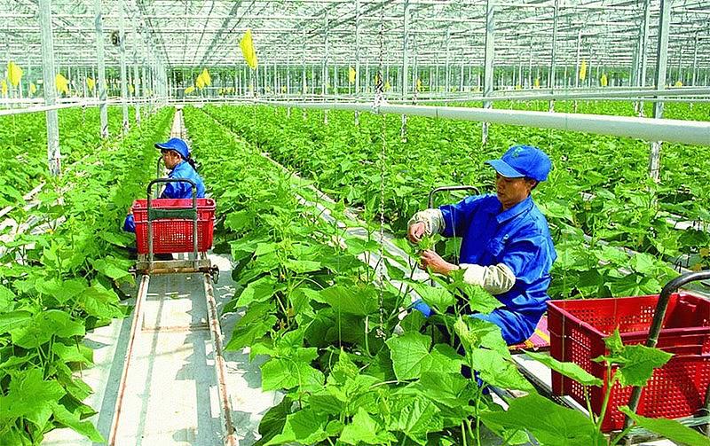 Tương lai chuyển đổi xanh nhìn từ Nghị quyết 68-NQ/TW - Ảnh 2