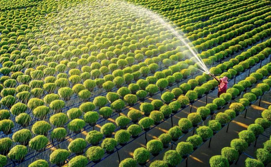 Tương lai chuyển đổi xanh nhìn từ Nghị quyết 68-NQ/TW - Ảnh 1