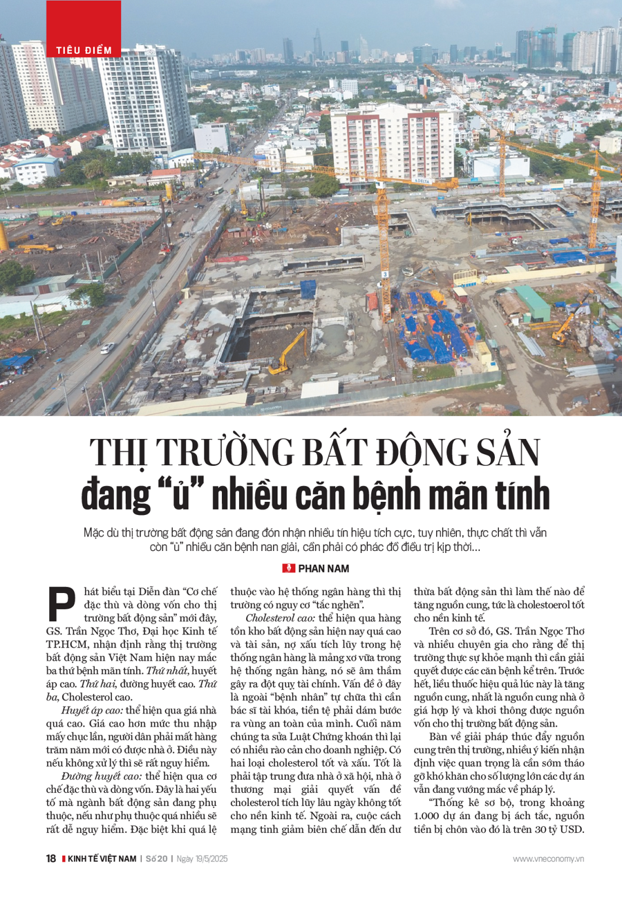 Thị trường bất động sản đang “ủ” nhiều căn bệnh mãn tính - Ảnh 1