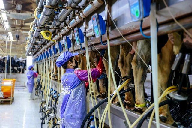 Trên thế giới không một quốc gia nào đạt được thịnh vượng mà thiếu đi một khu vực tư nhân phát triển mạnh mẽ.
