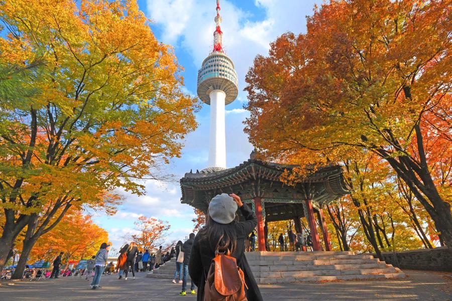 Doanh nghiệp lữ hành Hàn Quốc sẽ đẩy mạnh tour ngắm lá phong vào mùa thu và trượt tuyết vào mùa đông. 