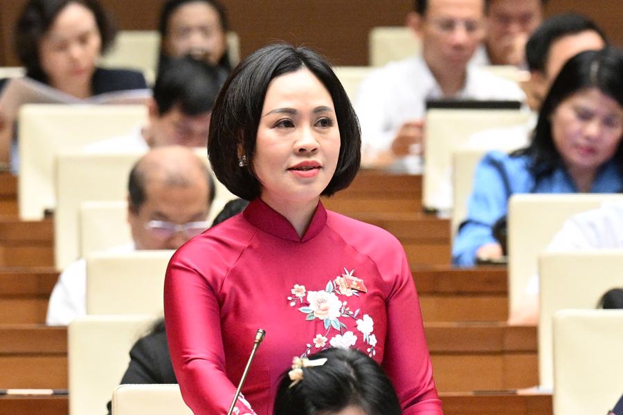 Đại biểu Trần Thị Hồng Thanh, đoàn Ninh Bình, nêu ý kiến.