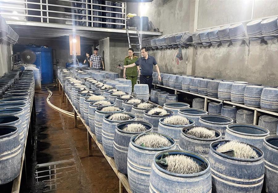 Xưởng giá đỗ được ngâm ủ bằng hóa chất được công an Lào Cai phát hiện 