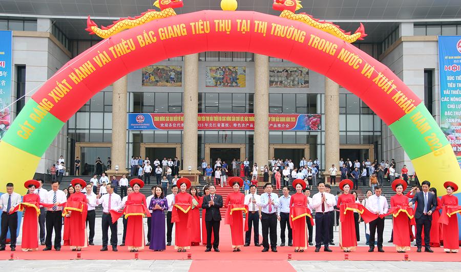 Lễ cắt băng xuất hành vải thiều Bắc Giang tiêu thụ tại các thị trường trong nước và xuất khẩu