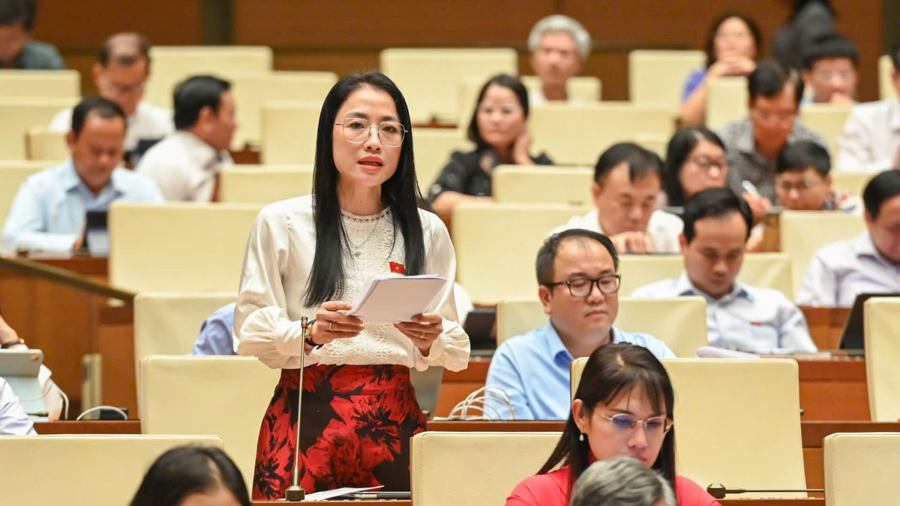 Đại biểu Trần Khánh Thu, đoàn Thái Bình.