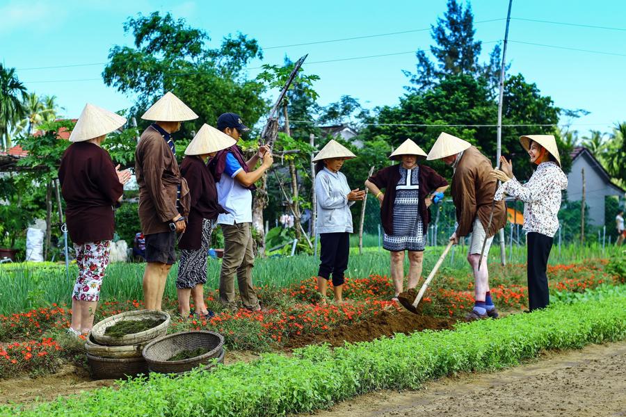 Gia tăng hợp tác liên kết để kích cầu du lịch - Ảnh 3