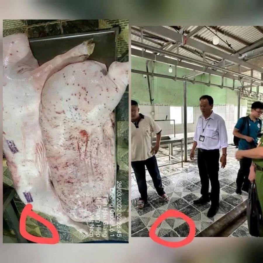Ảnh đăng trên tus Facebook của ông Liễu Quý Ngân trùng khớp với bức ảnh trong hồ sơ tiêu huỷ thịt lợn tại cơ sở giết mổ lợn Dũng Nga ngày 26/3/2022.
