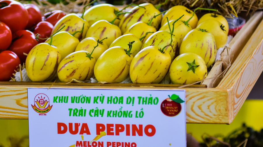 Thưởng thức đặc sản với giá ưu đãi tại Lễ hội trái cây Nam Bộ 2025 - Ảnh 5