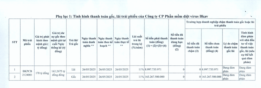 BKAV chậm trả lãi hơn 172 tỷ cho mã trái phiếu BKPCB2124001 - Ảnh 1
