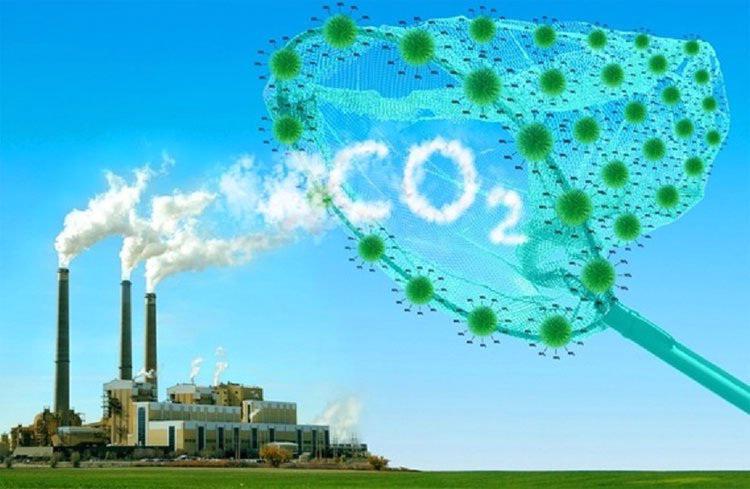 Khu vực tư nhân là trọng tâm trong nỗ lực chuyển dịch sang nền kinh tế carbon thấp, tăng trưởng xanh - Ảnh 1