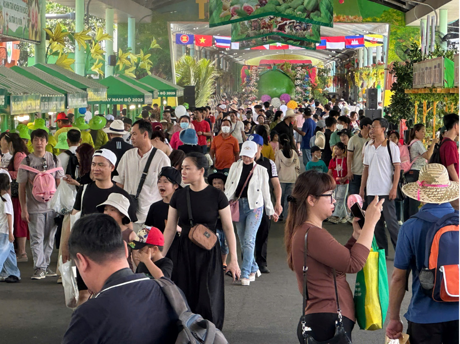 Visitors dive into the vibrant Fruit Festival