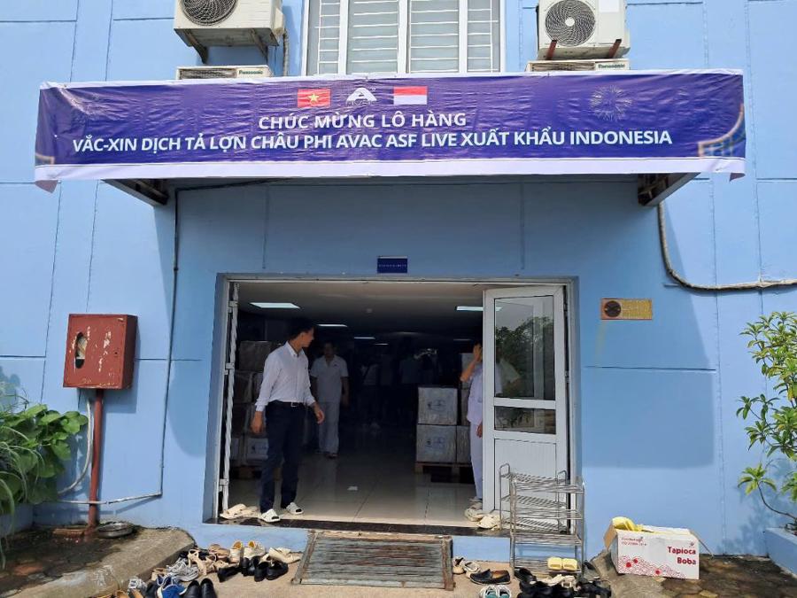 Kho hàng vaccine trước khi xuất khẩu sang Indonesia.