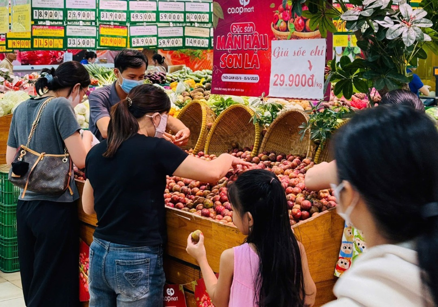 Mận hậu chính vụ: Giá bán thấp hơn và tiêu thụ chậm hơn - Ảnh 4
