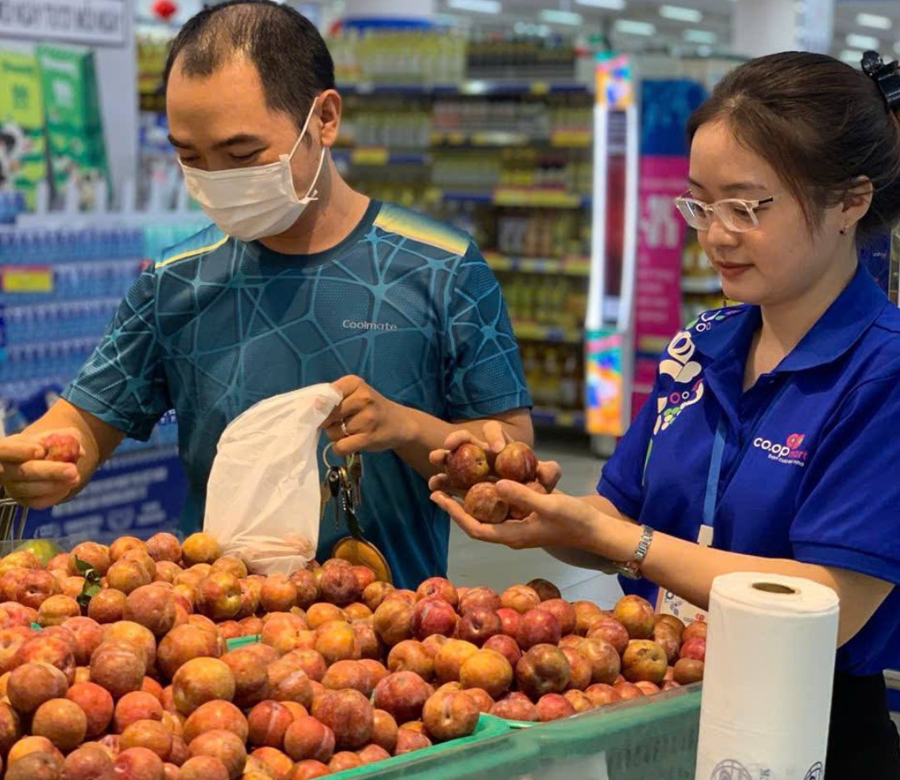 Mận hậu chính vụ: Giá bán thấp hơn và tiêu thụ chậm hơn - Ảnh 3