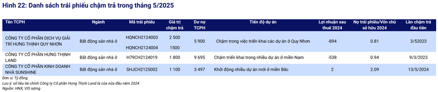 Thị trường trái phiếu tháng 5/2025: Giá trị phát hành mới tăng 35% so với tháng trước - Ảnh 2