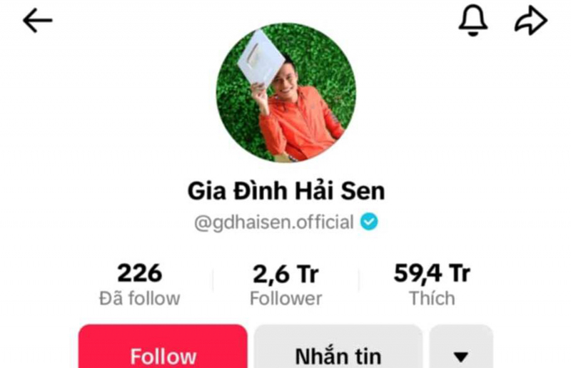 Kênh TikTok với 2,6 triệu lượt follow "Gia đình Hải Sen"