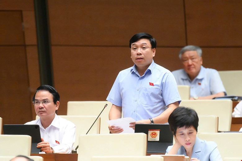 Đại biểu Nguyễn Văn Mạnh, đoàn Vĩnh Phúc