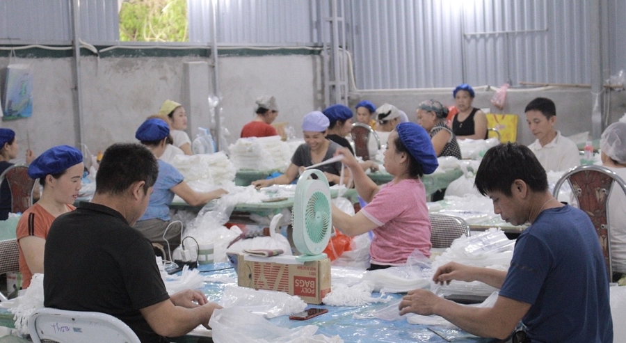 C&aacute;c hợp t&aacute;c x&atilde; tỉnh Ho&agrave; B&igrave;nh thu h&uacute;t 16,3 ngh&igrave;n th&agrave;nh vi&ecirc;n v&agrave; 28 ngh&igrave;n lao động tham gia.