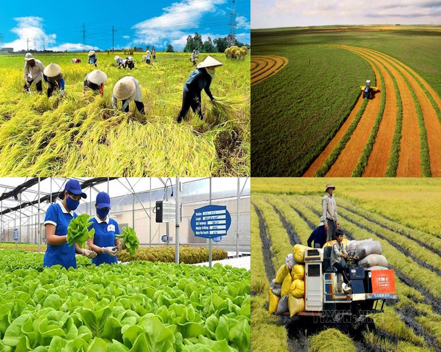 Quốc hội đồng ý kéo dài thời hạn miễn thuế sử dụng đất nông nghiệp đến hết 31/12/2030 - Ảnh 1