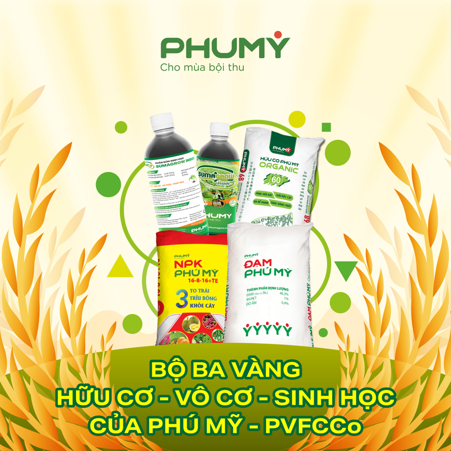 Bộ ba vàng vô cơ - hữu cơ - sinh học của Phú Mỹ - PVFCCo - Ảnh 1