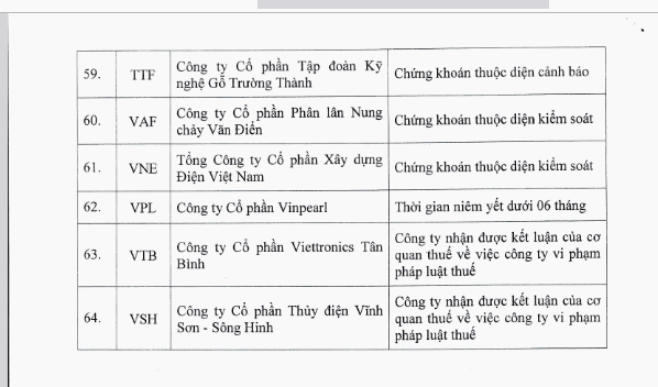HOSE thêm cổ phiếu VSH vào danh sách chứng khoán bị cắt margin - Ảnh 6