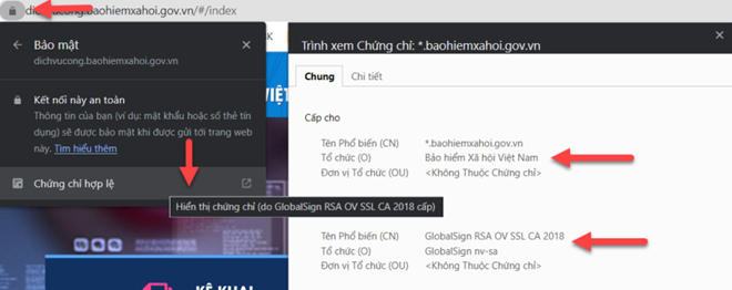 Cảnh báo về website giả mạo Cổng dịch vụ công trực tuyến Bảo hiểm xã hội Việt Nam - Ảnh 2