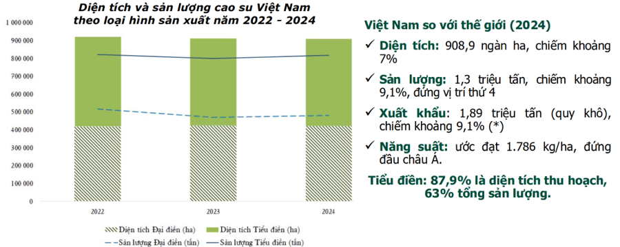 Diện tích vả sản lượng cao su Việt Nam. Nguồn: VRA.