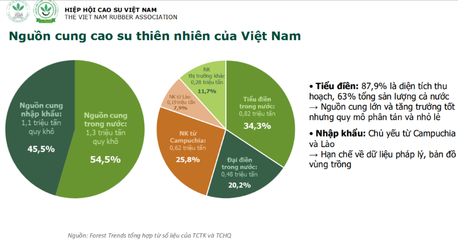 Cao su tiểu điền trước yêu cầu mới của EU: Cơ hội nâng cấp chuỗi cung ứng bền vững - Ảnh 3