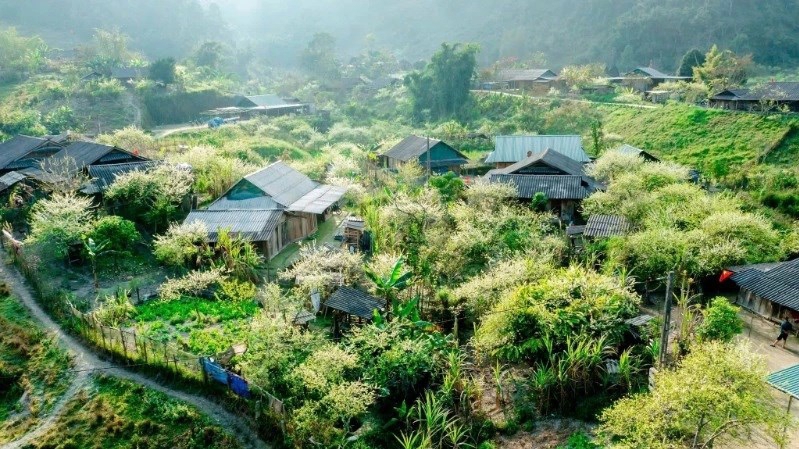 Ở độ cao hơn 1.500m, Mường Lống quanh năm mát mẻ, đẹp như một bức tranh thủy mặc giữa đại ngàn Trường Sơn. Ảnh: Nhật Thanh.
